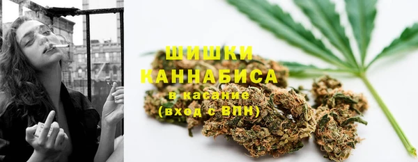 шишки Арсеньев