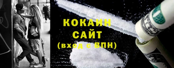 шишки Арсеньев