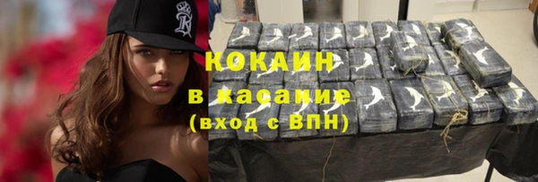шишки Арсеньев