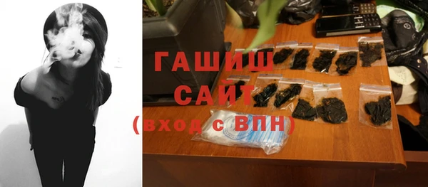 шишки Арсеньев