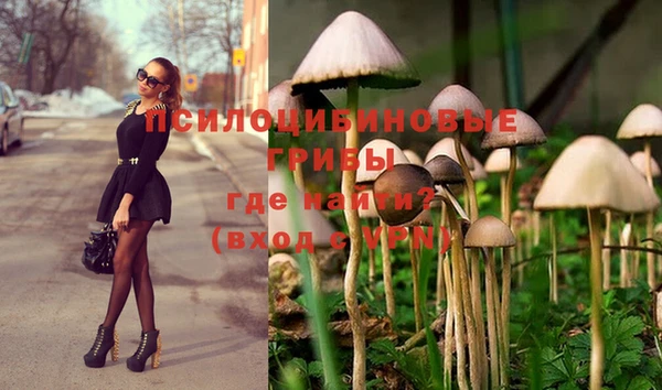 амф Михайлов