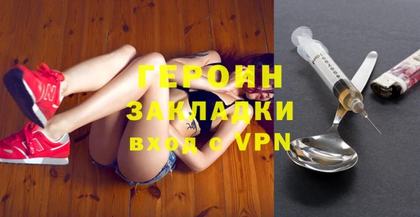 шишки Арсеньев
